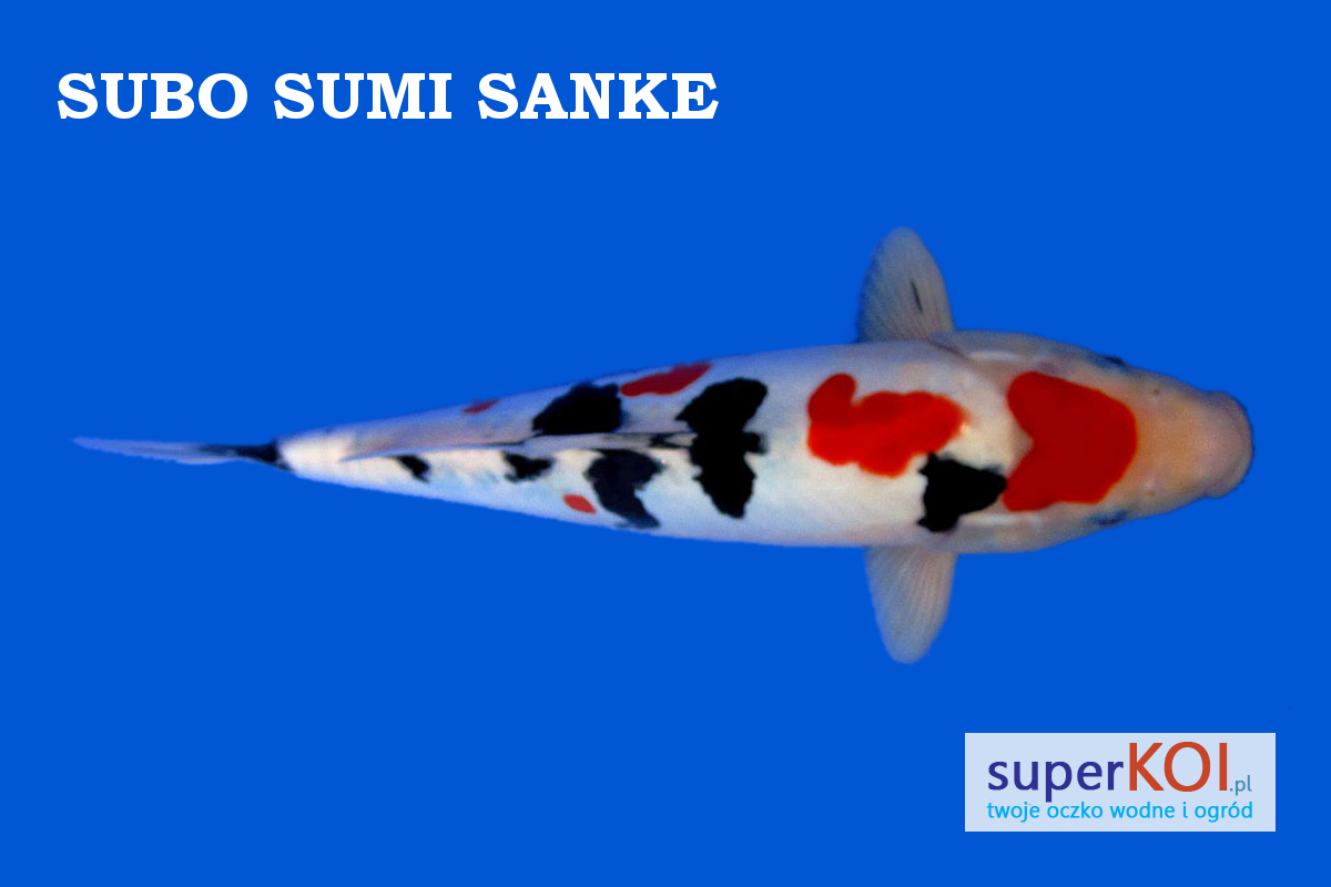 Subo Sumi Sanke