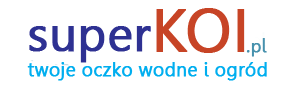 superKOI.pl